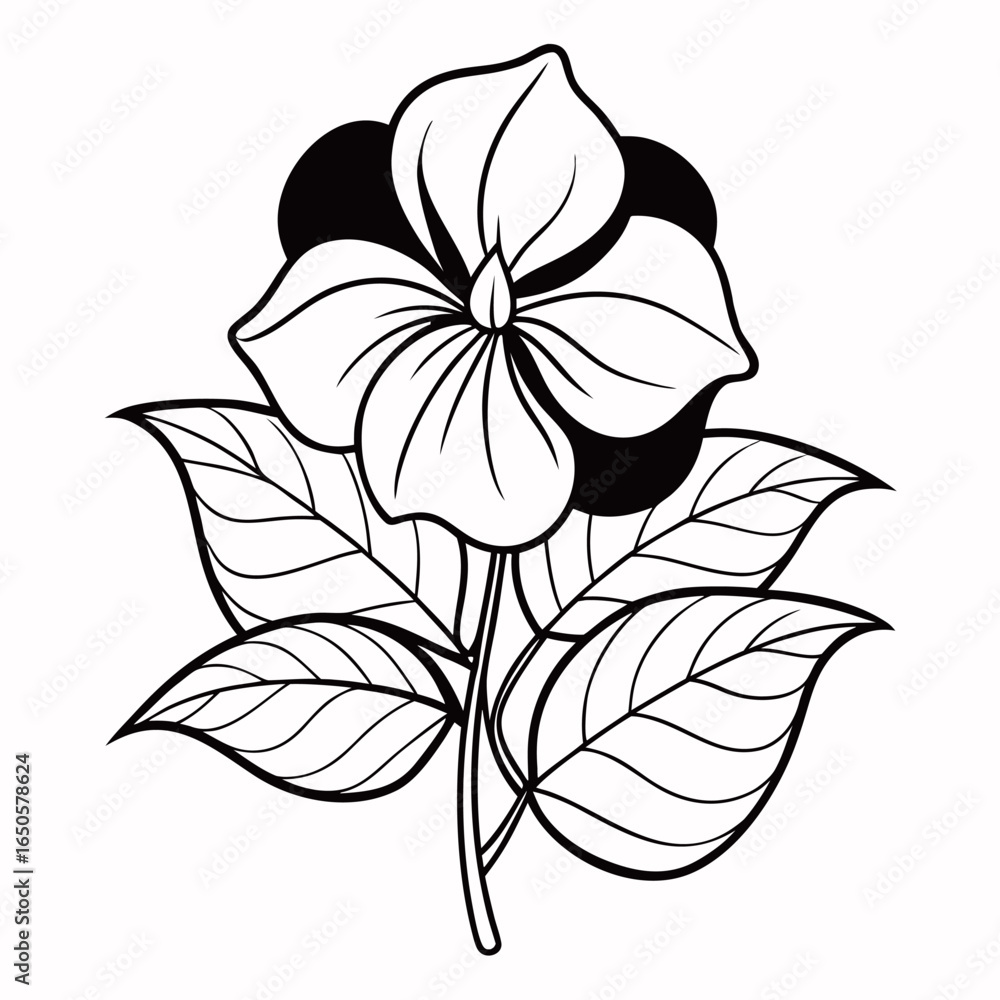 Obraz premium impatiens balsamina scarlet line art illustration vector -on-white
