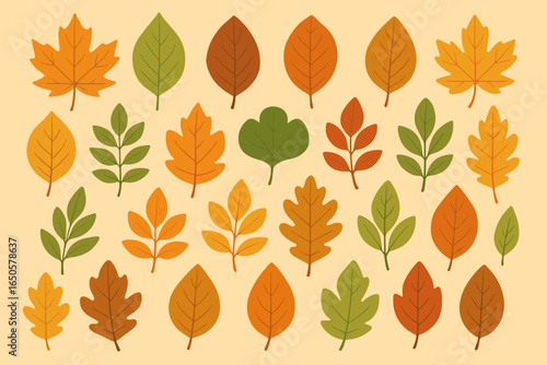 Autumn leaves vector set. Big collection of fall foliage design elements. Various leaf shapes including maple and oak. Seasonal illustration in flat style with warm colors.