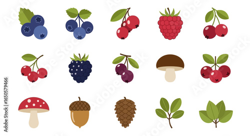 Colorful flat vector icon set of forest berries, mushrooms, and plants from the woods.
