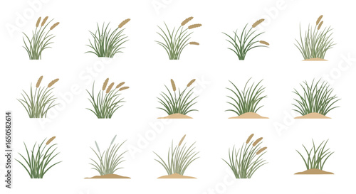 Set of fifteen flat vector illustrations of green cattails, reeds, and marsh grass clumps.