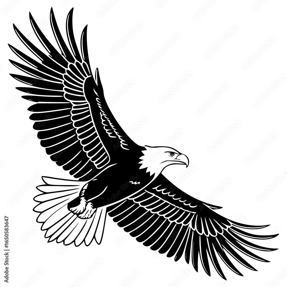 Fototapeta premium A black and white drawing of an eagle with its wings spread wide open in mid flight against white backdrop