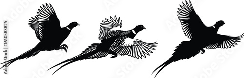 Art & IllustrationFlying pheasant bird silhouette illustration, detailed wildlife vector design for hunting, nature, rural artwork