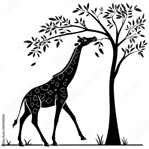 Silhouette of a giraffe eating leaves from a tree with grass on the ground in black and white design