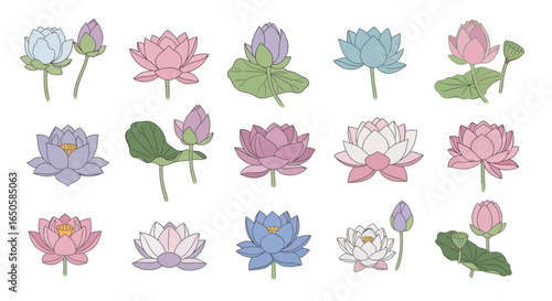 Vibrant Lotus Flower Illustrations: Blooming, Buds, and Seed Pods in Diverse Hues