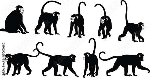 Monkey silhouette walking animation, black monkey poses vector, animal movement sequence, primate cartoon figure, isolated wildlife design set
