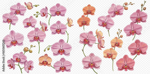 A beautiful collection of hand-painted watercolor pink and orange orchid flowers, buds, and stems.