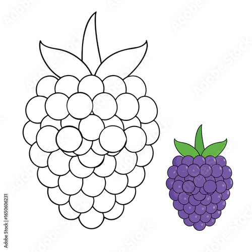Blackberries are juicy, dark purple-black berries with a sweet-tart flavor. Packed with vitamins, fiber, and antioxidants, they’re perfect for snacking, baking, or smoothies.

