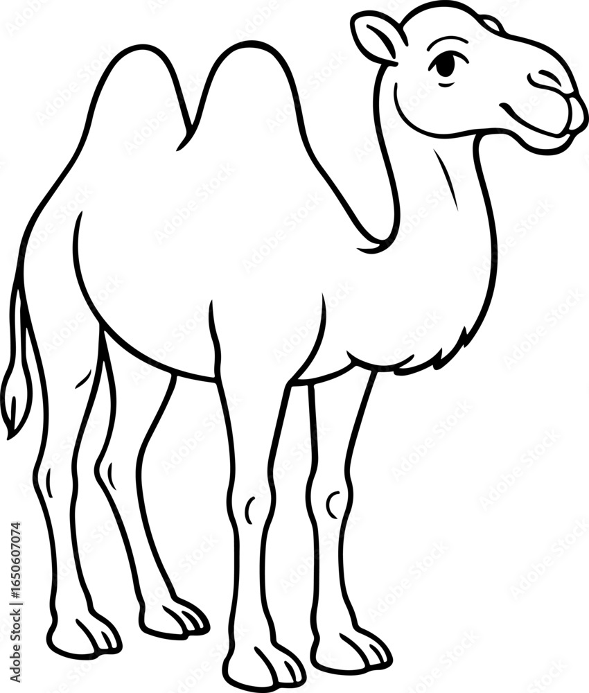 Fototapeta premium Bactrian Camel Illustration – Black and White Line Art of Two-Humped Desert Animal