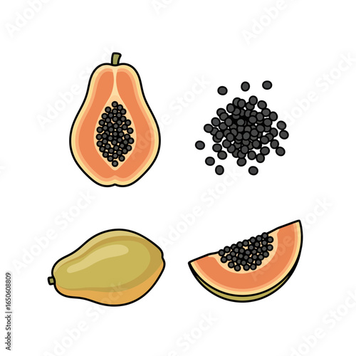 Delicious and healthy tropical papaya fruit in various forms, including whole, halved, sliced, and a pile of seeds, illustrated with vibrant colors.