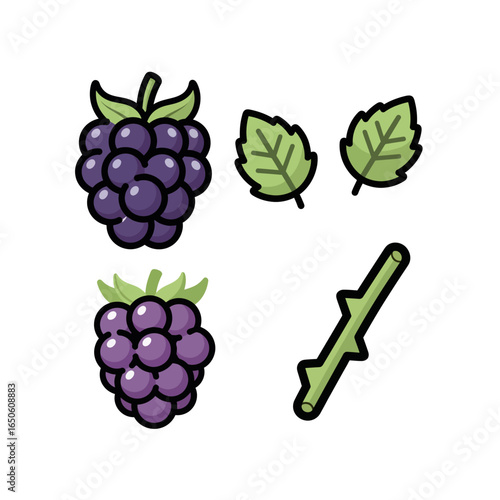 Cartoon lime fruit set with whole, half cut slices and leaves. Vector illustration of fresh citrus isolated on white background.