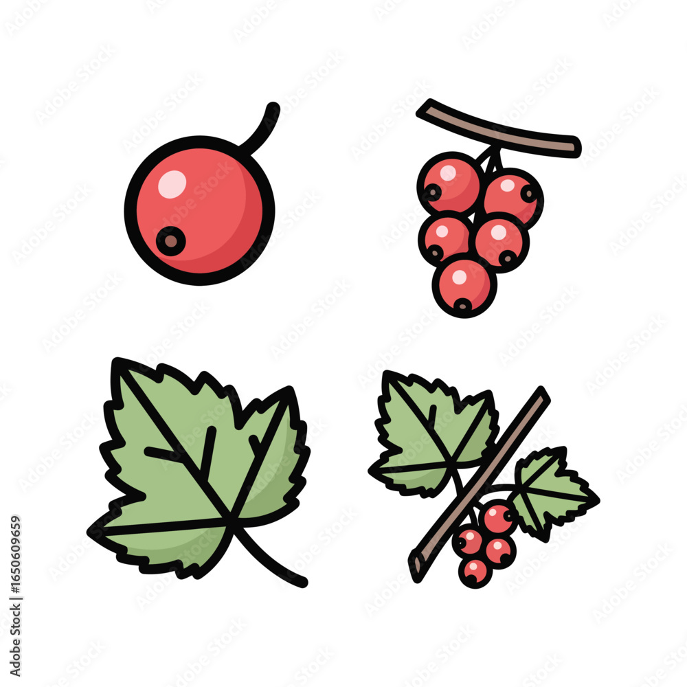 Obraz premium Red currant fruit and leaf icon set. A collection of stylized vector illustrations including a single berry, a cluster, and a green leaf on a white background.