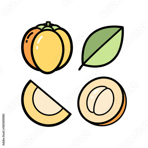 Apricot Fruit Illustration Whole, Sliced, and Leaf Design Elements