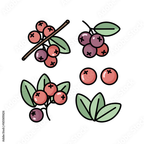 Vector illustration of fresh red berries with green leaves on a white background