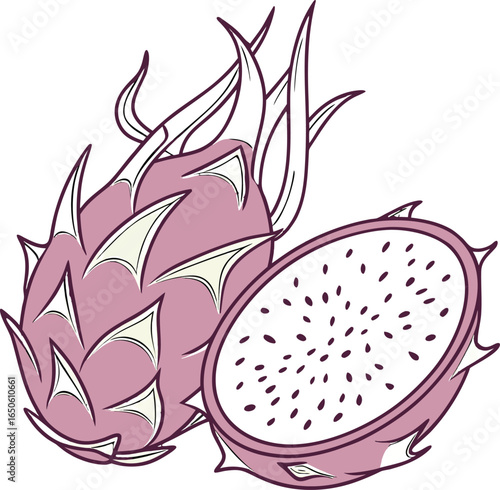 Vector illustration of a fresh, juicy pink dragon fruit