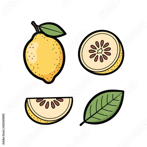 Lemon Illustration Fresh Fruit, Cut Sections, and Leaf Elements for Design and Creative Projects