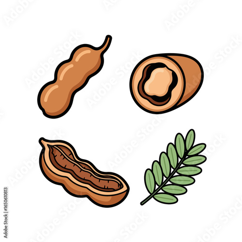 Tamarind Delight Fresh Fruit and Leaf Illustration