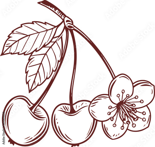 A fresh, sweet red cherry with a green leaf and stem, a vector illustration of a single juicy fruit on a white background