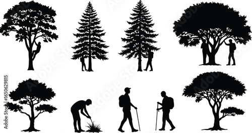 Silhouette hikers and trees, forest journey, nature lovers, outdoor scene, walking explorers, hiking in woods, wild landscape illustration, people with trees, natural adventure, trekker