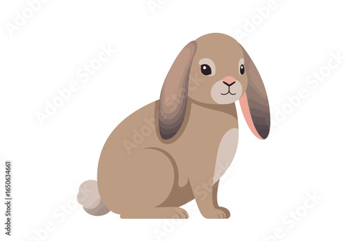 A brown bunny with floppy ears sits facing forward