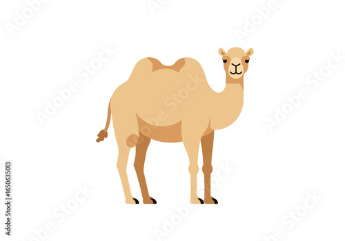 A lightbrown camel stands featuring two humps and a small tail against a white background