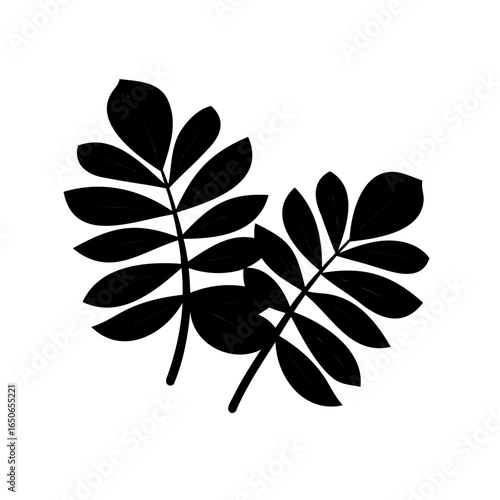 Silhouette of Two Branches with Leaves on a White Background, Decorative Plants