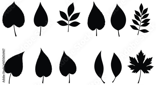 Collection of various leaf silhouettes on a white background