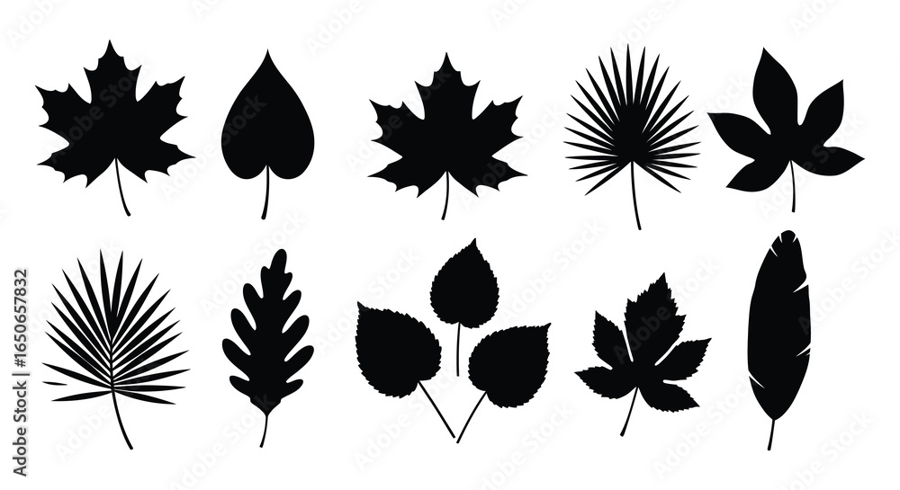 Fototapeta premium Collection of various leaf silhouettes on a white background