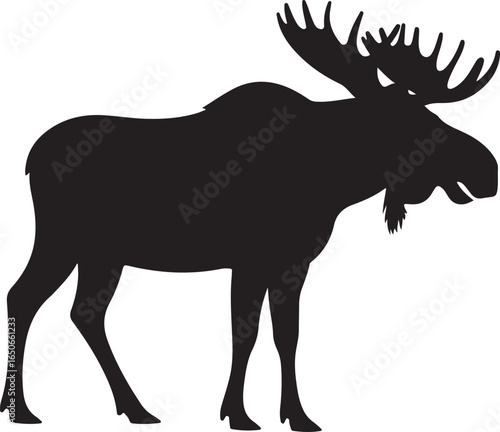 Black Silhouette Moose With Large Antlers Standing On White Background animal wildlife