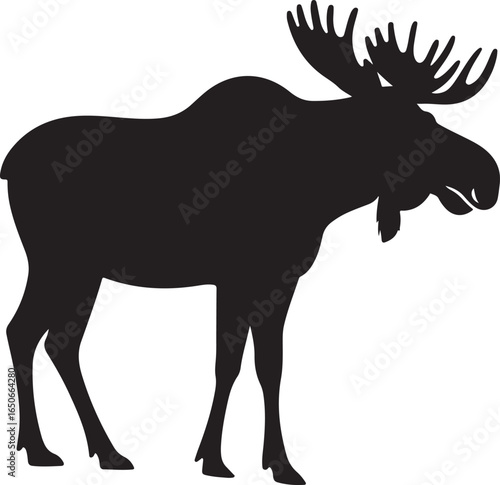 Black silhouette of a large bull moose with wide antlers on a white background animal wildlife
