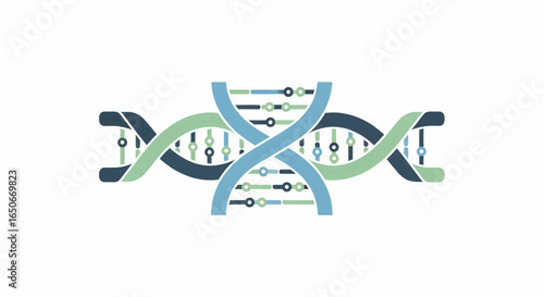 DNA Structure Exploring the Double Helix and Genetic Code