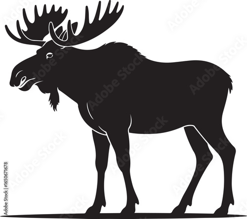 Silhouette of a majestic bull moose with large antlers standing on a white background animal wildlife