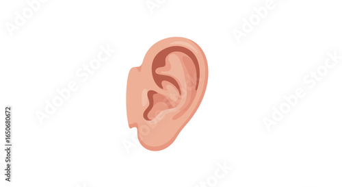 An Isolated Human Ear Illustration on a White Background for Medical and Anatomical Concepts