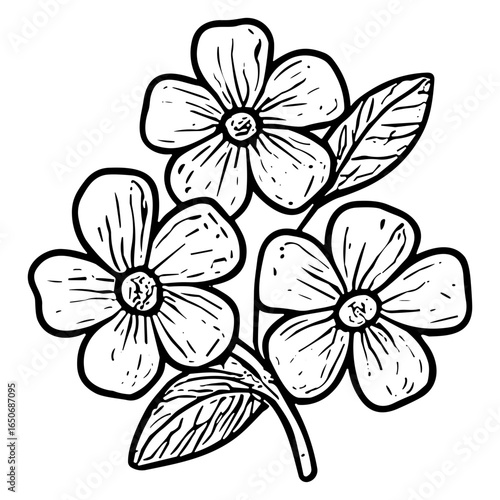 Blossom Branch