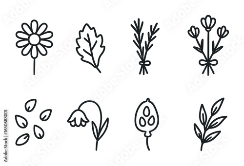 Dried Flowers Outline Icons. Outline icon set of dried flowers: pressed daisy, crunchy leaf, herb bunch,