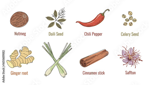 Spice Collection: Nutmeg, Dill Seed, Chili Pepper, Celery Seed, Ginger, Lemongrass, Cinnamon & Saffron.