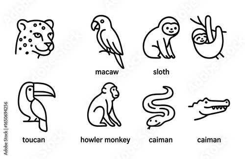 Rainforest Animals Icons. Outline icon set of rainforest animals: jaguar, macaw, poison dart frog, sloth,