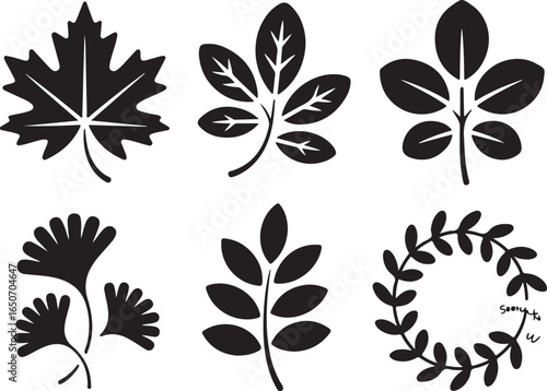 Wallpaper Mural Elegant leaf icons for nature designs Torontodigital.ca