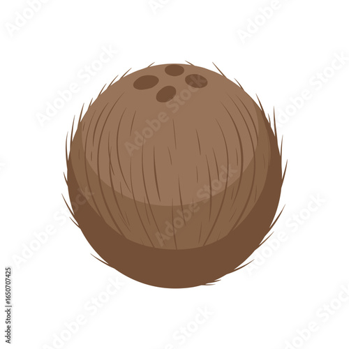 Brown Coconut with Fibrous Shell Cartoon Vector Icon Illustration. Tropical Fruit Nut Food Object Icon Concept Isolated Premium Vector. Flat Cartoon Style