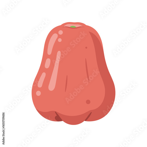 Red Water apple Bell Shape Cartoon Vector Icon Illustration. Tropical Fruit Concept Isolated Premium Vector. Flat Cartoon Style