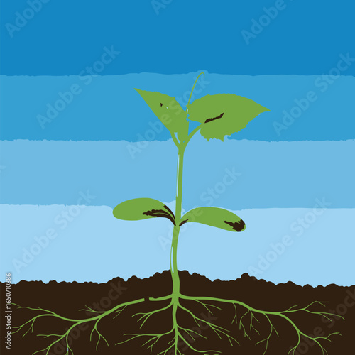 Growing Plant Illustration A Seedling's Journey from Roots to Sky with Simple Background