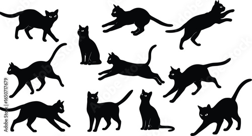 Black cat silhouettes, various cat poses, walking cats, sitting cats, playful cats, jumping cats, feline shapes, animal shadows, domestic cats, pet silhouettes, cute cats, wildlife art