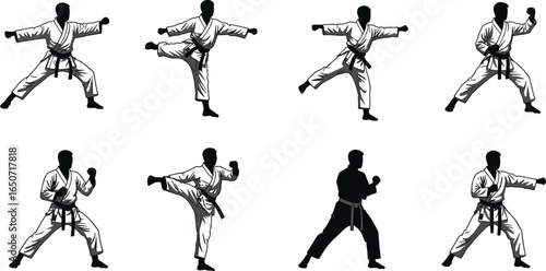 Karate martial arts silhouettes, dynamic fighting poses, karate kicks, punching techniques, black belt karateka, self-defense moves, traditional gi uniforms, combat training