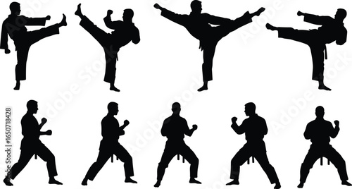 Karate martial arts silhouettes, kicking and fighting poses, martial artist training, karate moves collection, self-defense stances, dynamic martial arts action, fighting silhouettes set