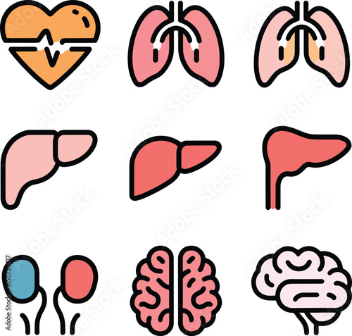 human organs medical icons isolated on transparent background