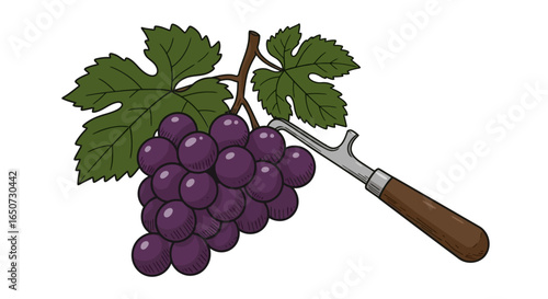 "Vector Hand-Drawn Outline of Grape Bunch with Leaves, Shovel, and Pick for Wine Label
