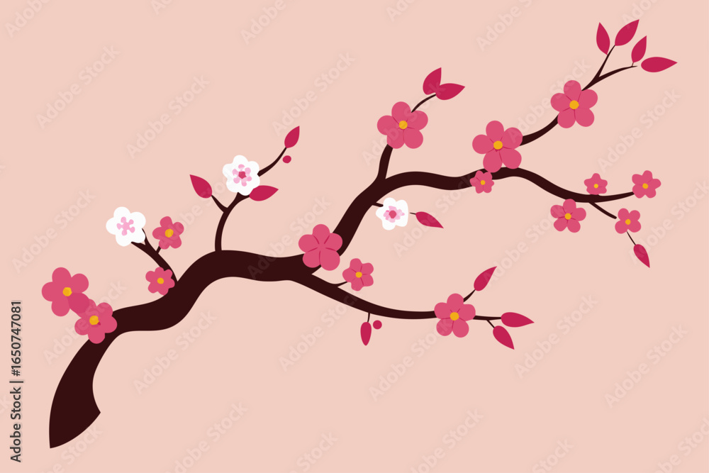 Fototapeta premium Blooming Cherry Blossom Branch Arching in Composition