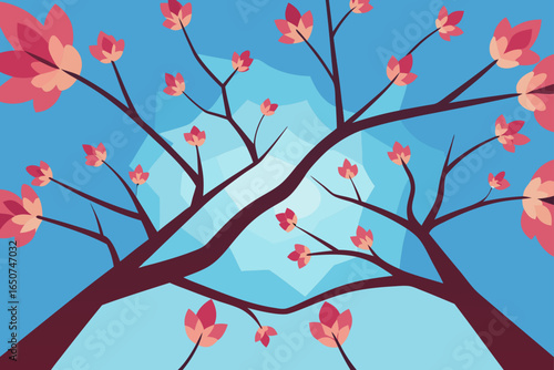Blooming Canopy Seen from Ground Looking Up