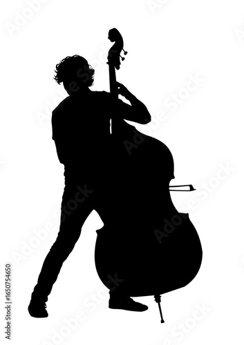 musician  with double bass silhouette