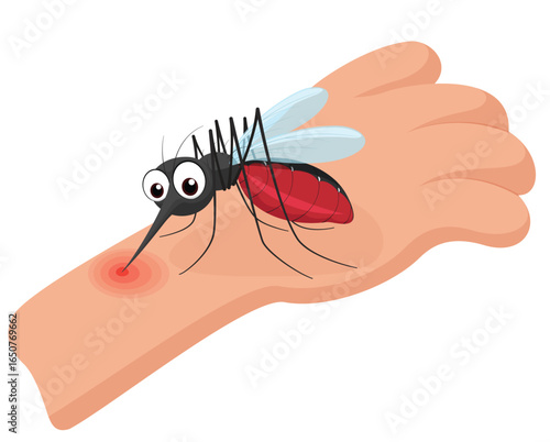Cartoon mosquito sucking blood, isolated on white background