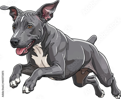 Argentine Pila Dog jumping athletic vector illustration 